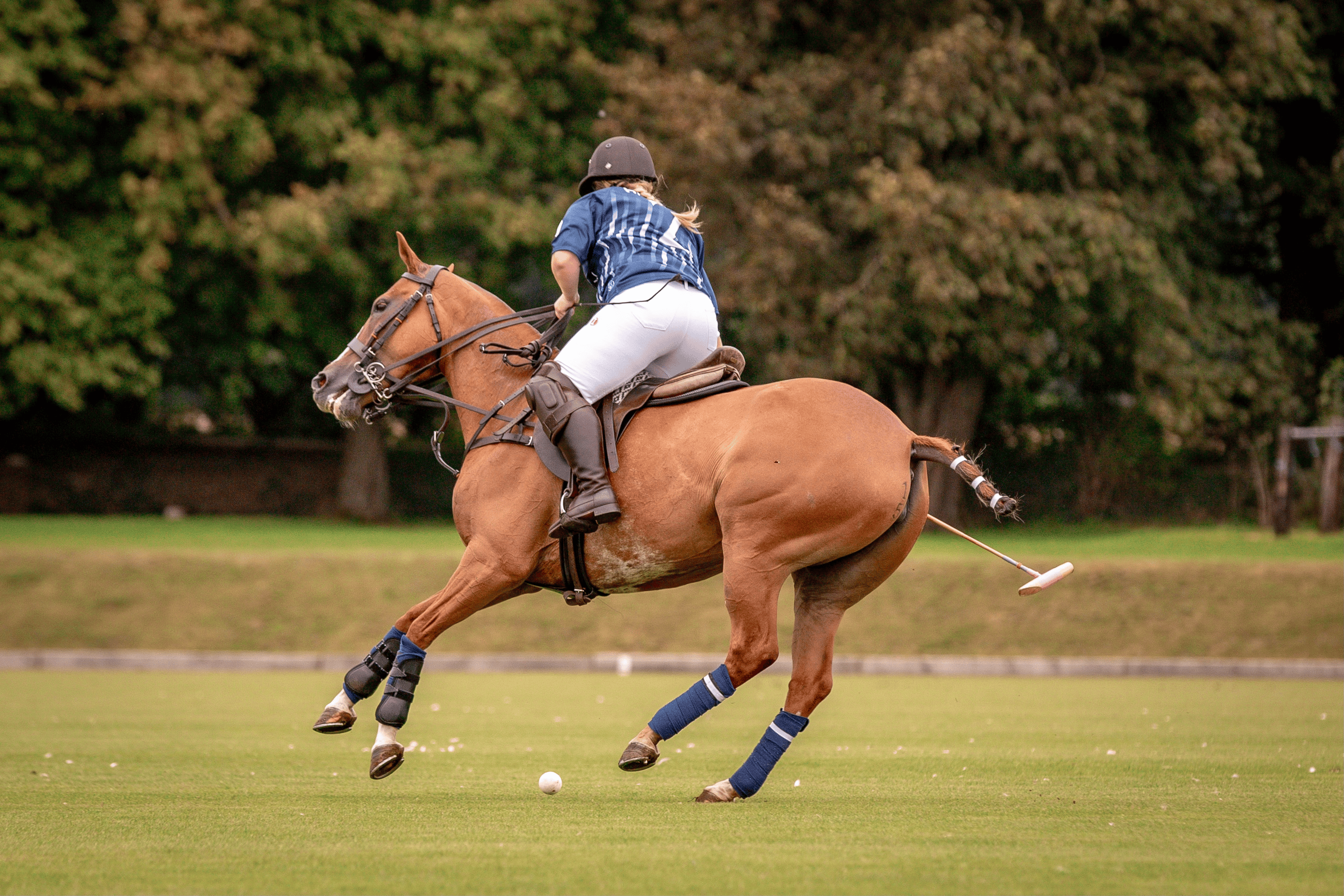 2023 HMA Tax Charity Polo Day